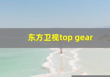 东方卫视top gear